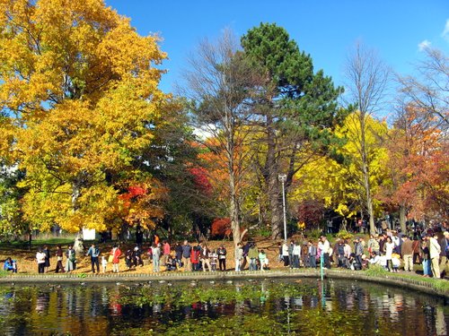 北海道大学大野池の紅葉