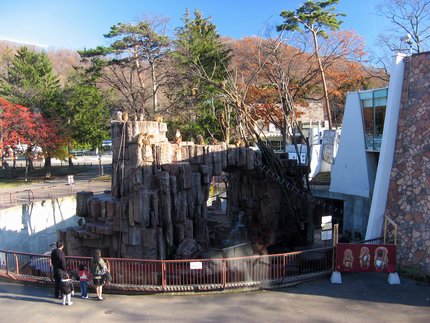 円山動物園・サル山